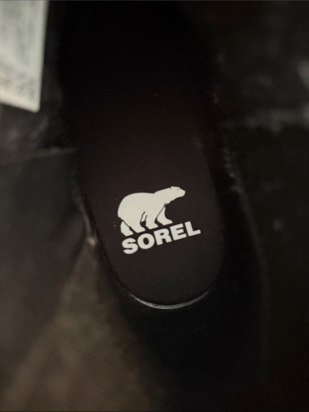 Sorel Black Leather Zip-Back Ankle Boots - Picture 4 of 5